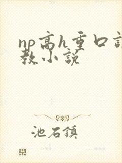 np高h重口调教小说