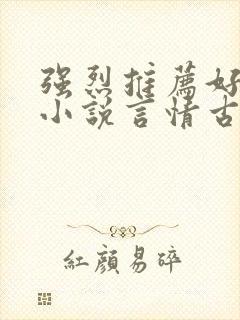 强烈推荐好看的小说言情古言