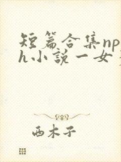 短篇合集np高h小说一女多男