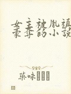 女主被胤禛强取豪夺的小说