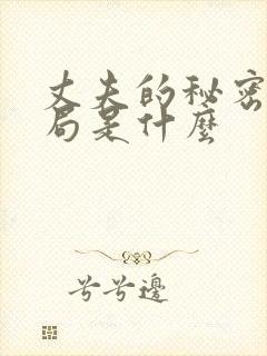 丈夫的秘密大结局是什么