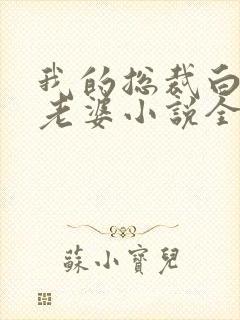 我的总裁白富美老婆小说全文在线阅读