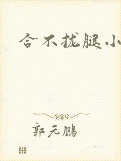 合不拢腿小说