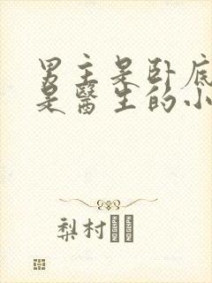 男主是卧底女主是医生的小说封面