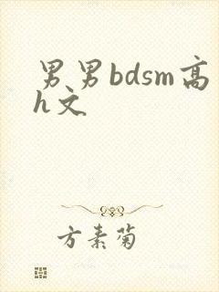 男男bdsm高h文