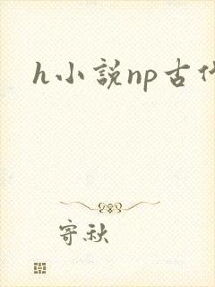 h小说np古代封面