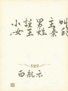 小说男主叫沈宴,女主姓秦的小说