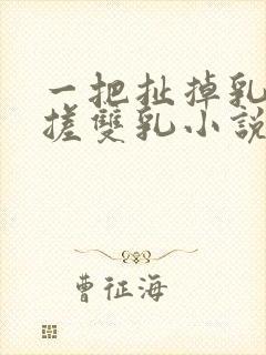 一把扯掉乳罩揉搓双乳小说