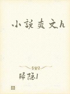 小说爽文h