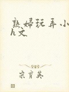 熟妇玩弄小太正h文