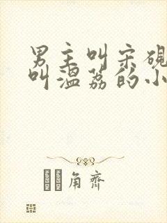 男主叫宋砚女主叫温荔的小说