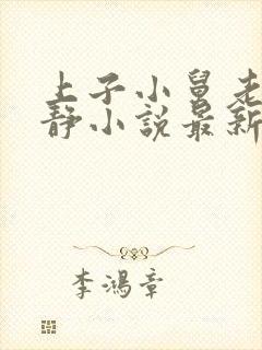 上子小舅老婆赵静小说最新章节封面