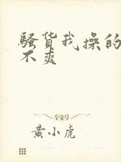 骚货我操的你爽不爽封面