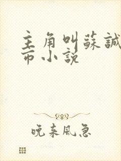 主角叫苏诚的都市小说