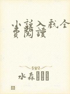 小说入戏全文免费阅读