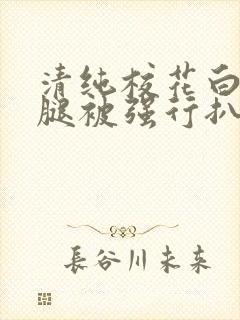 清纯校花白丝双腿被强行扒开