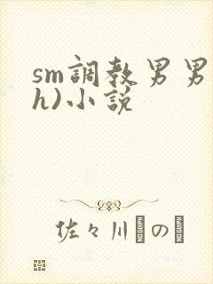 sm调教男男(h)小说封面