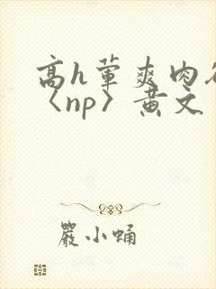 高h荤爽肉欲文〈np〉黄文