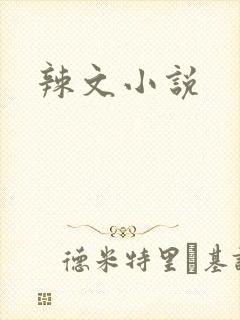 辣文小说