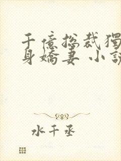 千亿总裁独宠替身娇妻 小说完整板