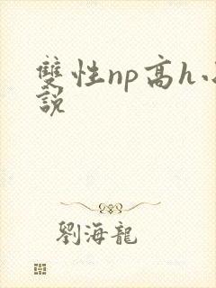 双性np高h小说