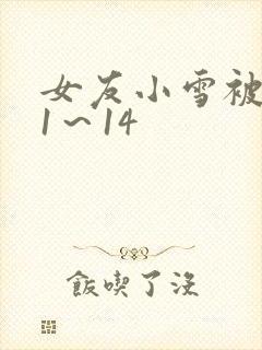 女友小雪被调教1～14