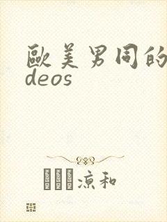 欧美男同的videos