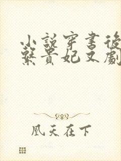 小说穿书后,佛系贵妃又剧透了在线观看封面