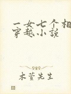 一女七个相公的穿越小说封面