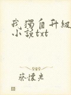 我独自升级原著小说txt