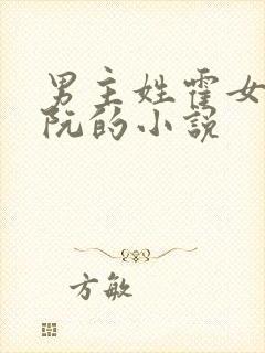 男主姓霍女主姓阮的小说封面