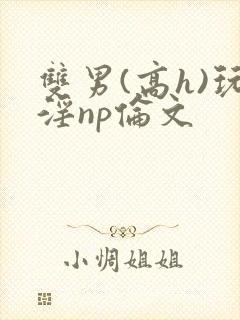 双男(高h)玩淫np伦文