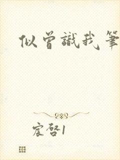 似曾识我笔趣阁