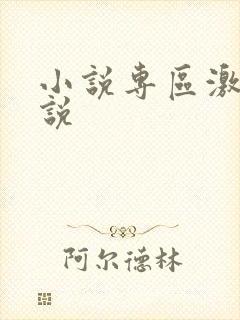 小说专区激情小说