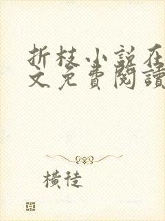 折枝小说在线全文免费阅读无弹窗