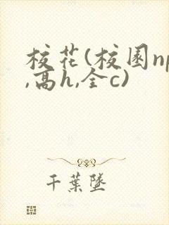 校花(校园np,高h,全c)