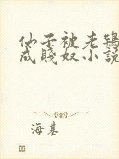 仙子被老鸨调教成贱奴小说