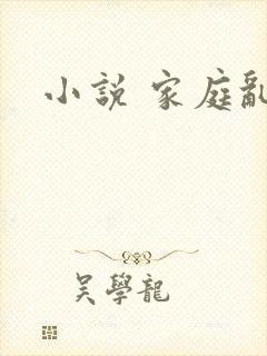 小说 家庭乱封面