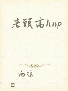 老头高hnp
