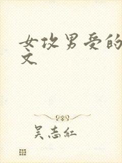 女攻男受的高h文封面