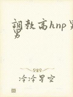 调教高hnp男男