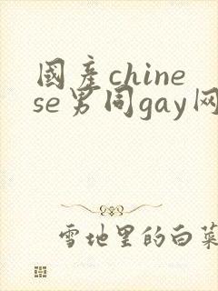国产chinese男同gay网站