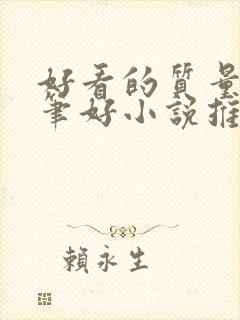 好看的质量高文笔好小说推荐