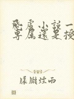 飞卢小说一般选专属还是授权封面