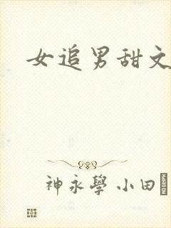 女追男甜文
