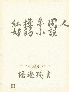 红楼梦同人文最好的小说