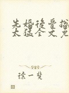 先婚后爱总裁别太猛全文免费阅读封面