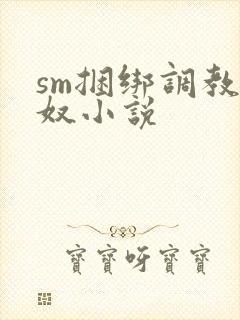 sm捆绑调教女奴小说封面