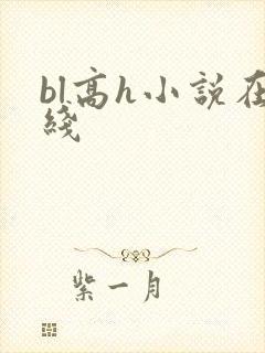bl高h小说在线封面