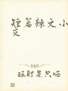 短篇辣文小说公交